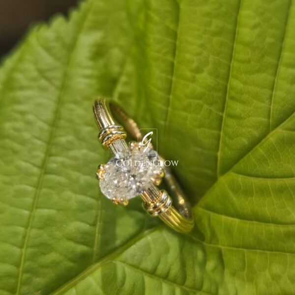 A close-up of two solitaire engagement rings held between fingers, each featuring a round cut moissanite or Moissanite diamond. One ring is set in yellow gold and the other in white gold, both designed with classic prong settings and elegant shoulder detailing. The gemstones sparkle brightly in natural sunlight, highlighting their brilliance and clarity. A softly blurred green background creates a fresh, natural contrast that emphasizes the refined craftsmanship and timeless beauty of the rings.